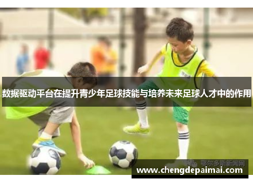 数据驱动平台在提升青少年足球技能与培养未来足球人才中的作用